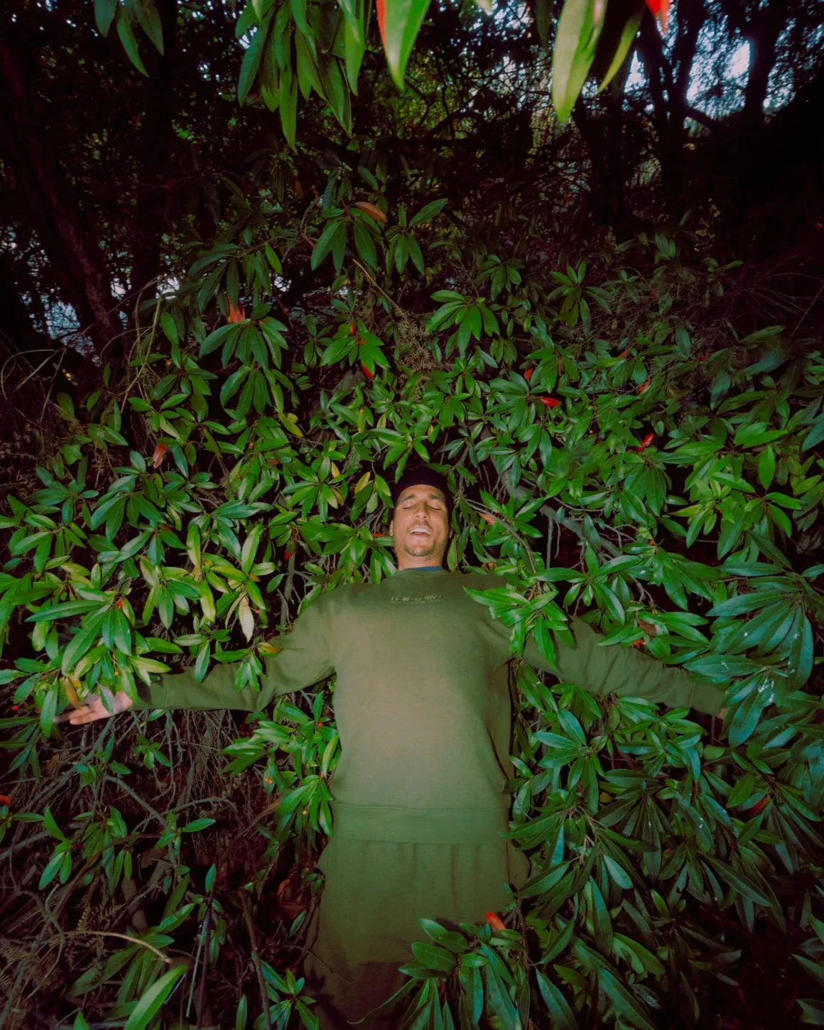 Verdant Merino Organic Cotton Crew - Dark Olive